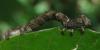 323471 – Photo : Axel Dehalleux – France (93)