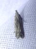 323985 – Photo : Moth-er – France (69)