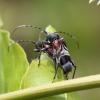 323137 – Photo : Mathurin CARNET – France (58)