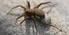 323381 – Photo : Christian Berquer – France (05)