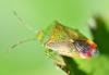 323339 – Photo : Jean-Michel GAREL – France (89)