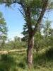 323784 – Photo : Mathurin CARNET – France (58)