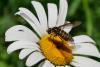 323544 – Photo : BourrinOman – France (83)