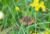 323125 – Photo : pierre juliand – France (07)