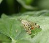 323367 – Photo : lguez – France (91)