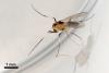 324364 – Photo : Arthropa - Benoit Martha – France (71)