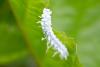 324490 – Photo : Pierre Duhem – France (78)