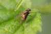 324733 – Photo : Pierre Duhem – France (78)