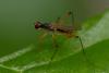 324498 – Photo : Pierre Duhem – France (78)