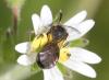 324781 – Photo : Jean-Sébastien Carteron – France (26)