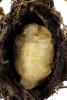324377 – Photo : Emmanuel Gay – France (74)