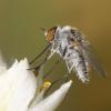 324333 – Photo : Simon Thevenin – France (13)