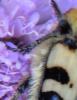 324140 – Photo : Antoinette Fleixas – France (21)