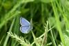 324587 – Photo : thomashawk – France (15)