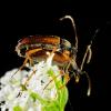 324829 – Photo : Cédric Mondy – France (78)