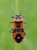 324271 – Photo : Guillaume D – France (21)