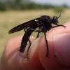 324747 – Photo : Mathurin CARNET – France (58)