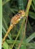 324249 – Photo : Phil49 – France (49)