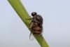 324948 – Photo : Nicolas Mangold – France (44)
