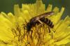 325963 – Photo : Aurèle Baretje – France (25)