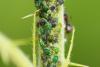 325136 – Photo : Pierre Duhem – France (77)