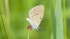 325867 – Photo : florent besson – France (36)