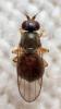 325345 – Photo : André Burgers – Espagne