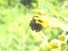 325484 – Photo : Thomas Koffel – France (69)