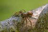 325562 – Photo : Arnaud Badiane – France (58)
