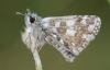 325916 – Photo : Yoann Pelouard – France (83)