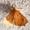 325638 – Photo : Cédric Mondy – France (94)