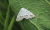 325871 – Photo : Philippe Fourtier – France (38)