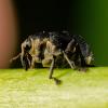 325391 – Photo : Cédric Mondy – France (78)