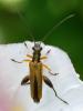 325714 – Photo : Cédric Mondy – France (94)