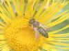 325588 – Photo : Mathieu Junger – France (54)