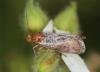 325234 – Photo : Yoann Pelouard – France (83)