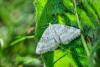 325330 – Photo : BourrinOman – France (05)