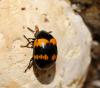 325739 – Photo : Bernard Mallet – France (38)
