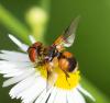 325277 – Photo : Christophe Sirere – France (18)