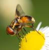325278 – Photo : Christophe Sirere – France (18)
