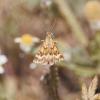 325992 – Photo : Gimenez Hervé – Espagne