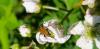 326518 – Photo : SCHUBNEL Léa – France (70)