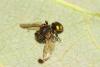 326998 – Photo : Jude Bucktrout – France (36)