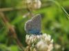 326532 – Photo : Philippe Fourtier – France (77)