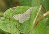 326527 – Photo : Philippe Fourtier – France (38)