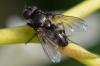 326244 – Photo : Christian Berquer – France (50)