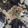326392 – Photo : lguez – France (73)
