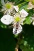 327332 – Photo : SCHUBNEL Léa – France (70)