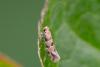 327131 – Photo : Pierre Duhem – France (29)