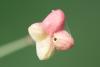 327401 – Photo : Pierre Duhem – France (29)